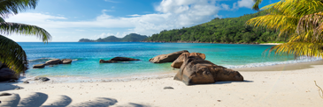 Western Caribbean Cruises